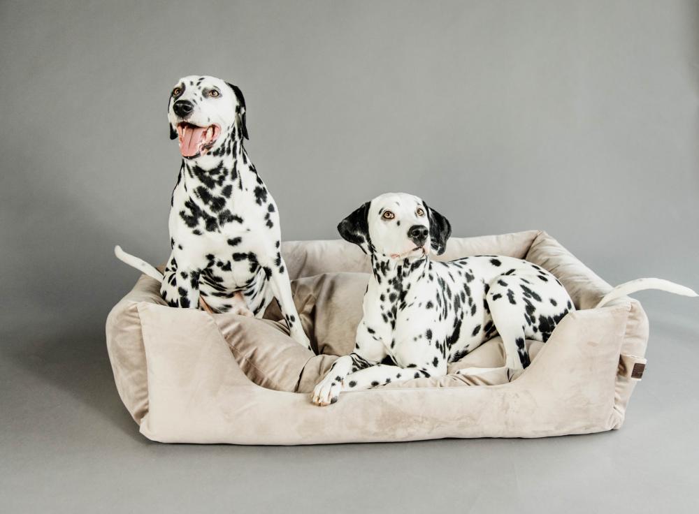 KENTUCKY® DOGWEAR Hundebett aus Samt, beige