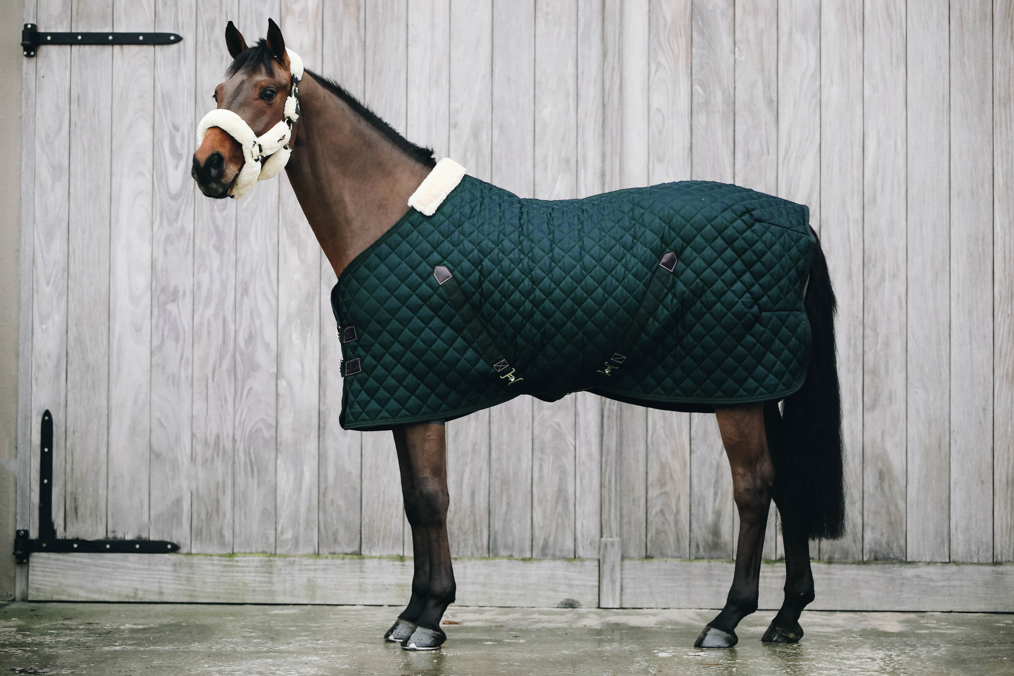 KENTUCKY® HORSEWEAR Stalldecke 400 g, dunkelgrün