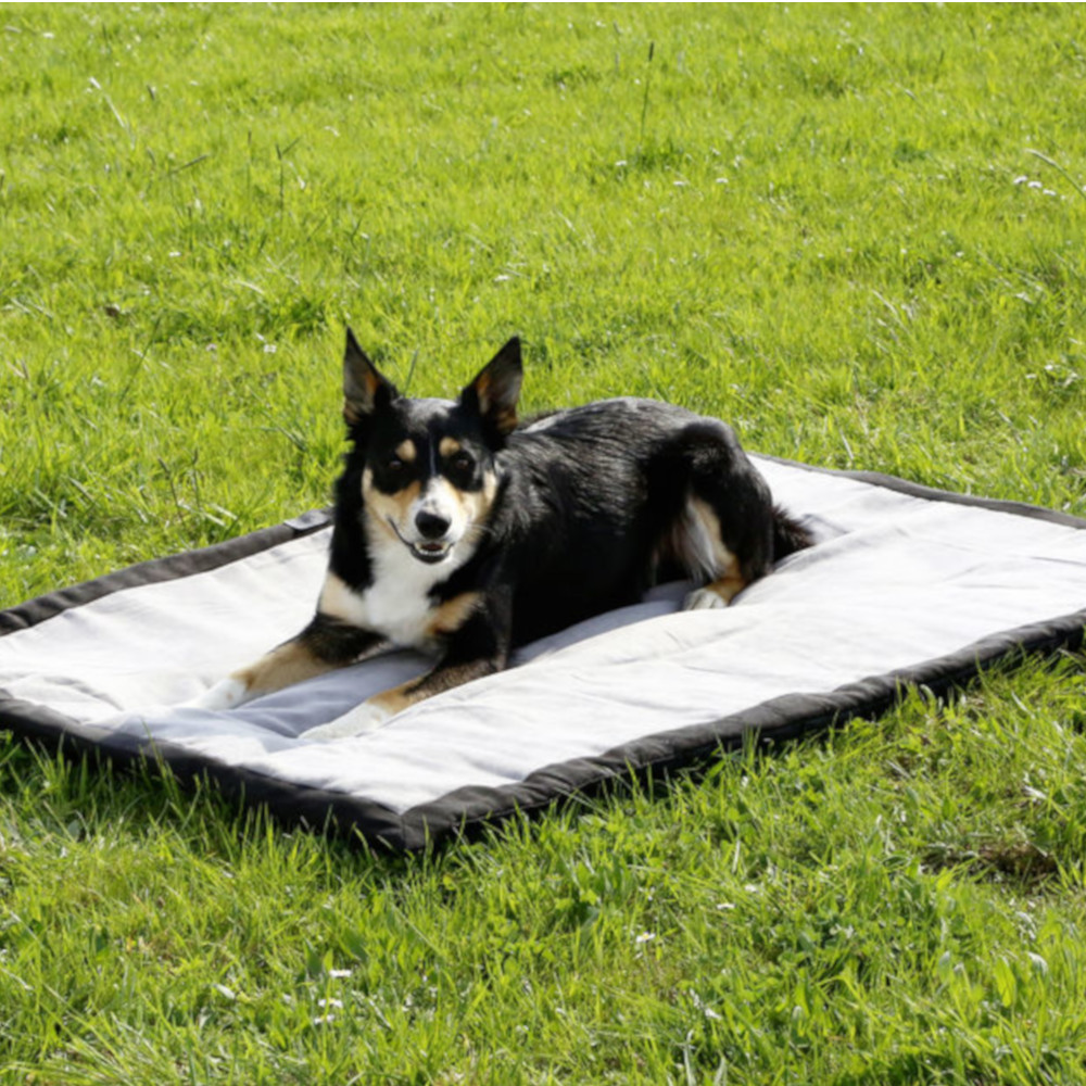 Hundedecke Trip