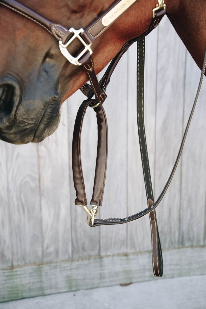 KENTUCKY® HORSEWEAR Führleine