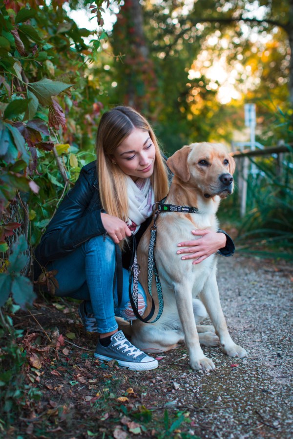 Eine Frau kniet neben ihrem Labrador, der das schwarze KERBL Halsband Shiny Night mit grafischem Muster trägt.