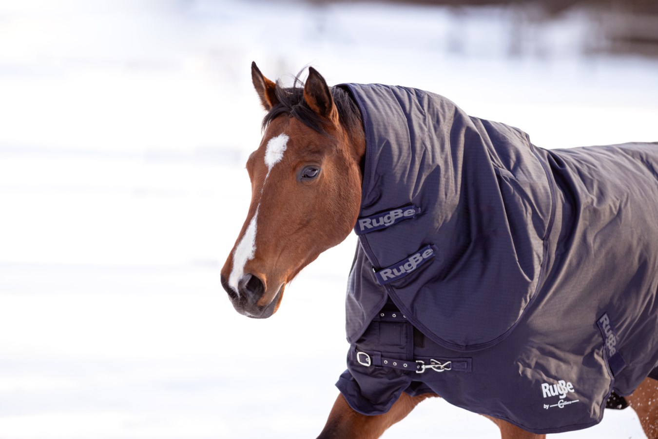 KERBL RugBe Winterdecke IceProtect 300 g
