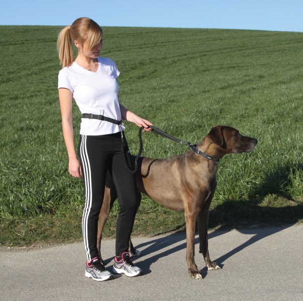 KERBL Joggingleine Active mit Hüftgurt