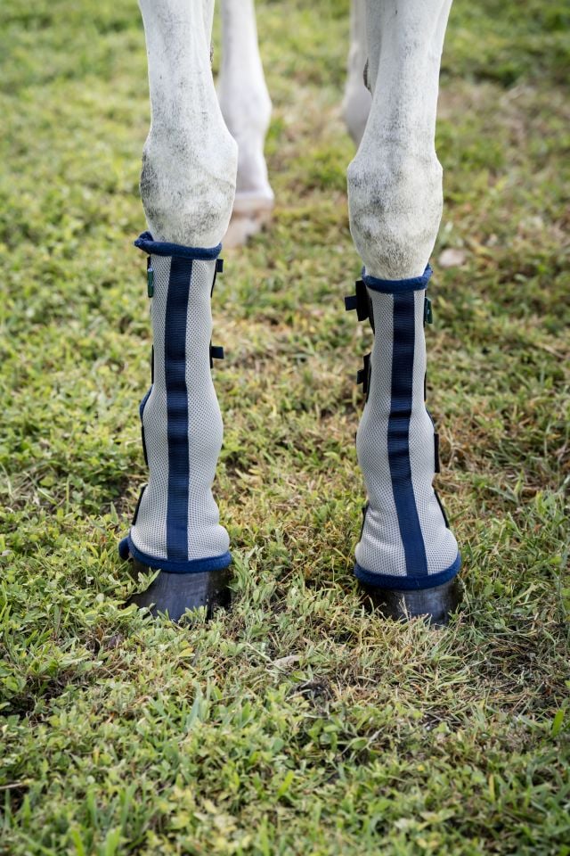 Die Horseware Fliegengamaschen in Silber und Navy schützen die Beine eines Schimmels auf der grünen Weide.