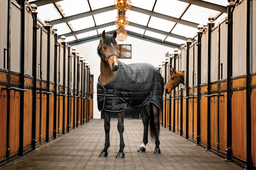 HORSEWARE® Easy-Layer Stable, 100 g, black/black & silver