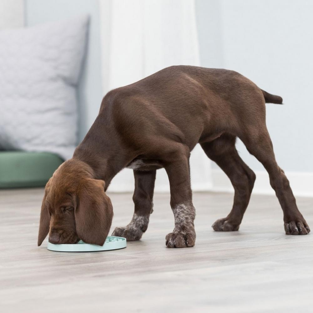 TRIXIE Junior Schleckplatte, mint