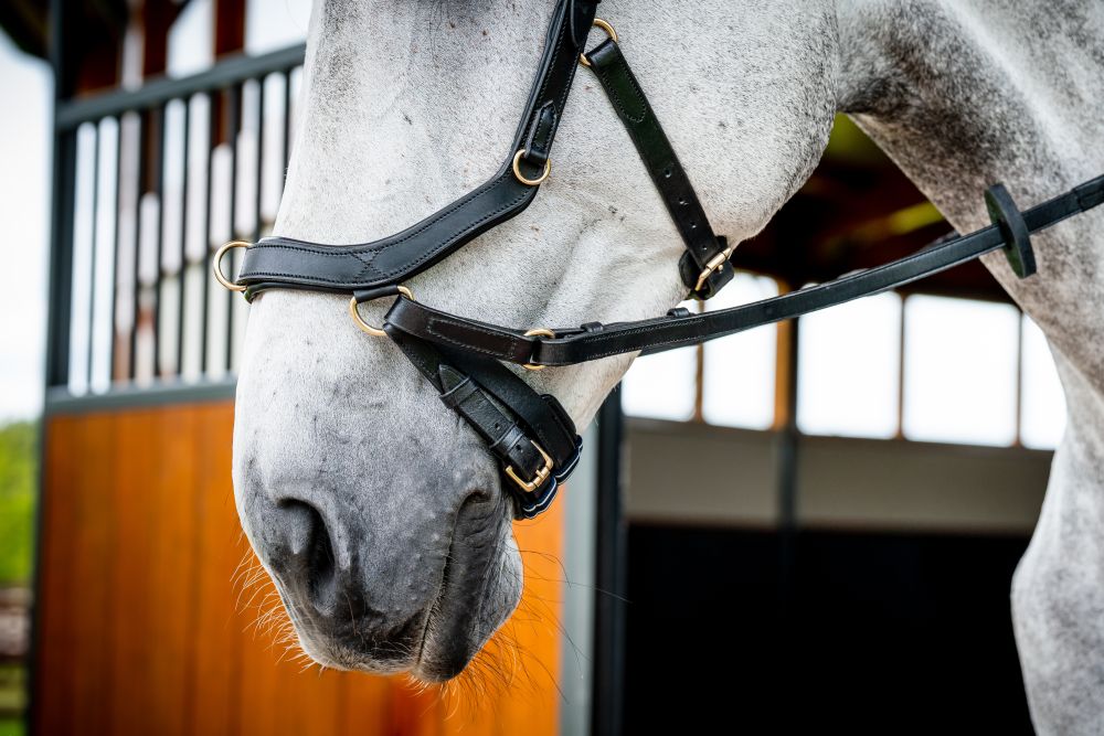 HORSEWARE® Micklem® 2 Multi Bridle, black