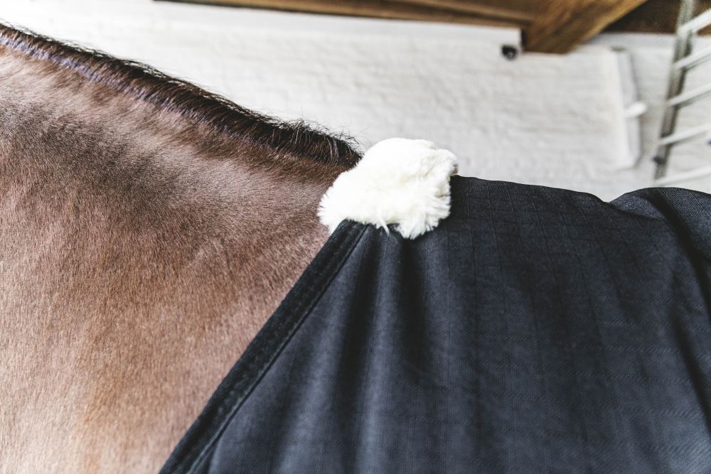 KENTUCKY® HORSEWEAR Stalldecke Classic 100 g, schwarz