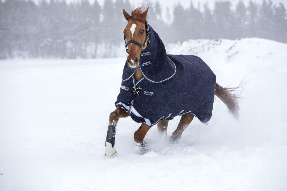 HORSEWARE® Rambo® Duo Plus Turnout, 100 g (+ 300 g Liner), navy/sky blue