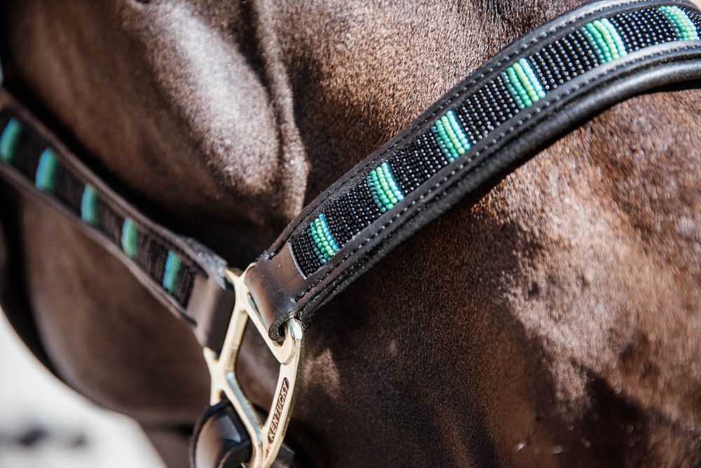 KENTUCKY® HORSEWEAR Pearls Halfter, schwarz