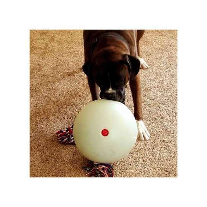 Tuggo Mini Ball - 7 Inch (ca. 17 cm) - von Tigern getestet! 