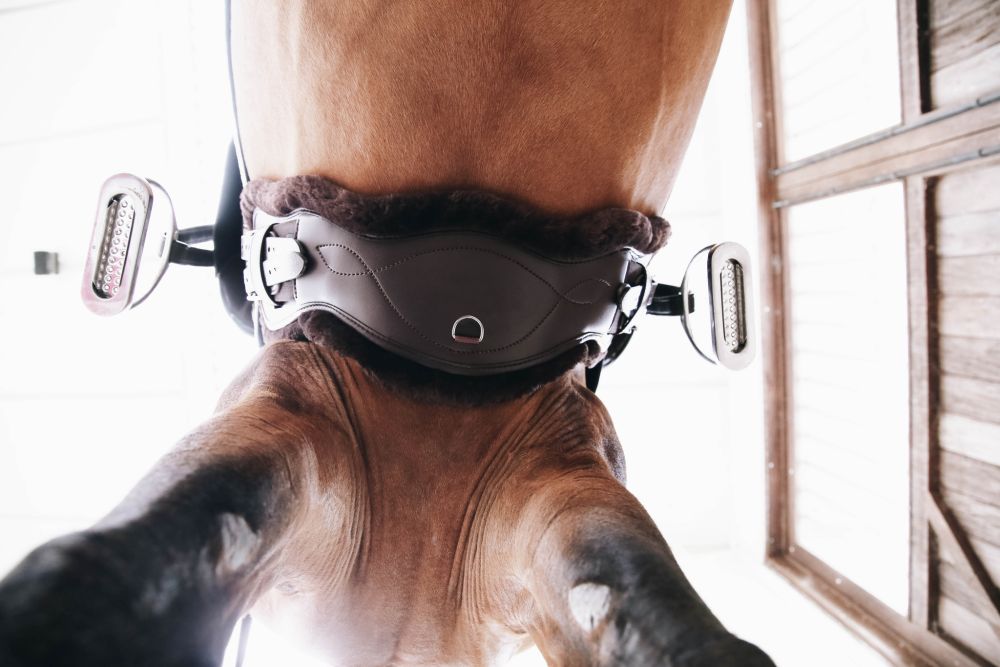 KENTUCKY® HORSEWEAR Schaffell-Gurtschoner für Kurzgurt Anatomic, braun