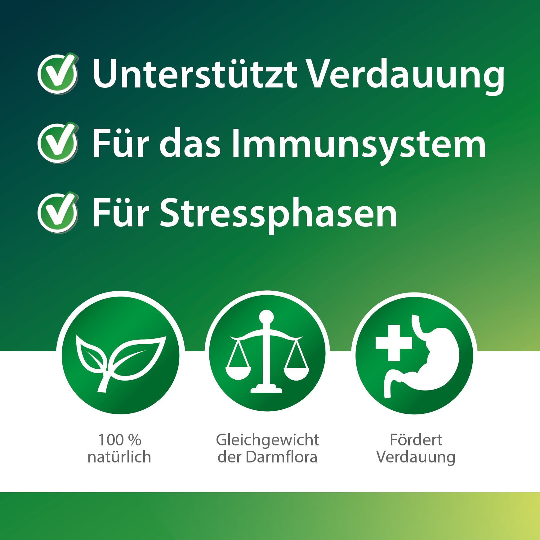 RÖHNFRIED® Darmwohl