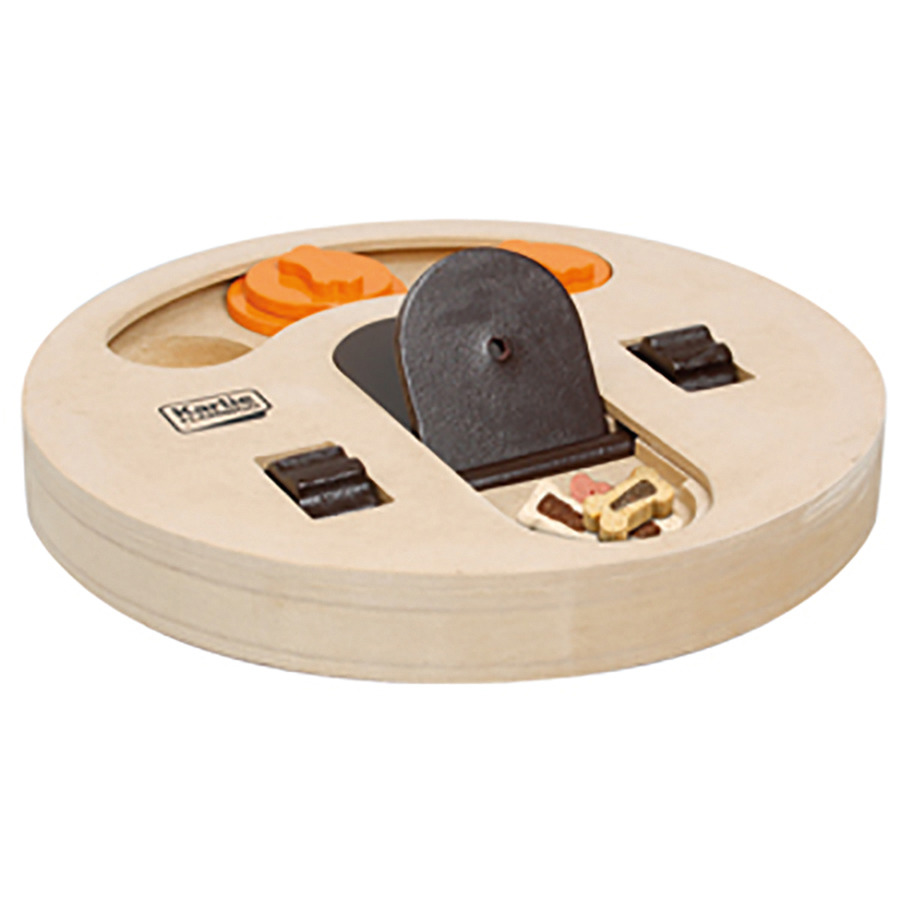Wooden Brain Train Helios