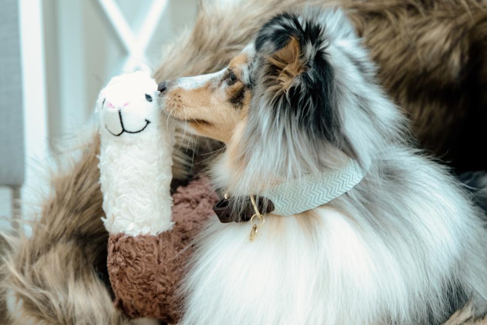 KENTUCKY® DOGWEAR Hundespielzeug Alpaka Alfredo
