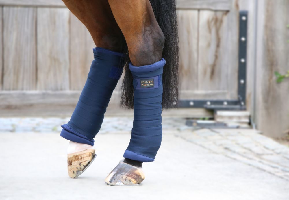 KENTUCKY® HORSEWEAR Stall-Bandagen Unterlagen, 4er-Set, marine