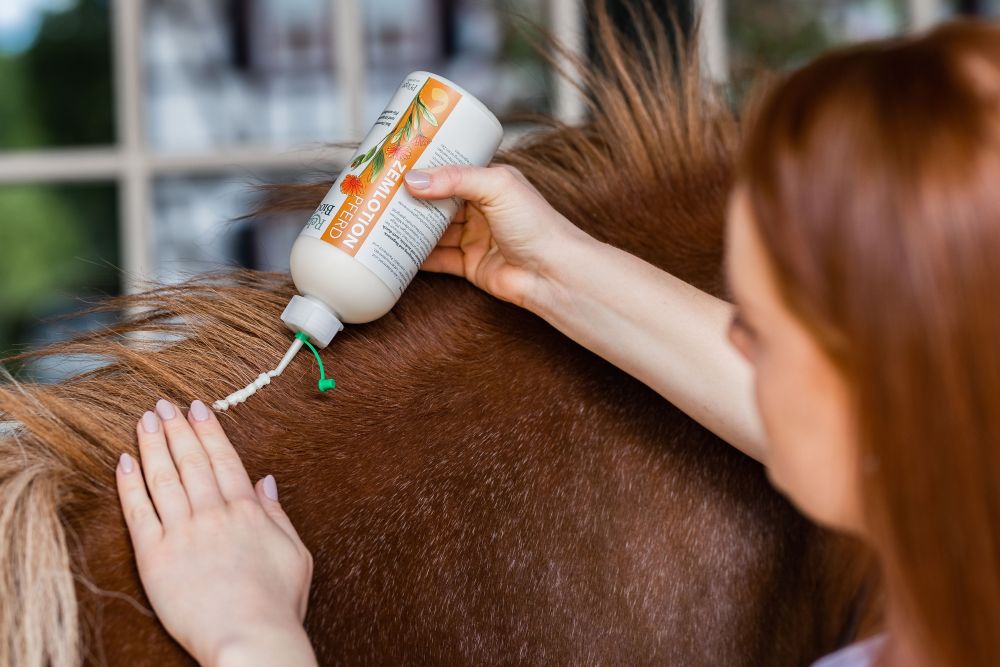 RELAX BIOCARE ZEMLOTION PFERD 
