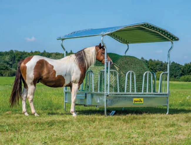Pferd frisst Heu von einer Futterraufe auf der Weide