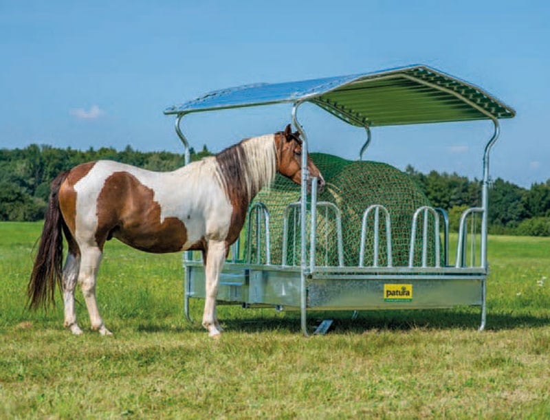 Pferd frisst Heu von einer Futterraufe auf der Weide