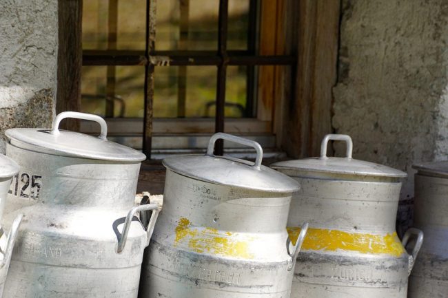 frische Kuhmilch in Kannen abgefüllt