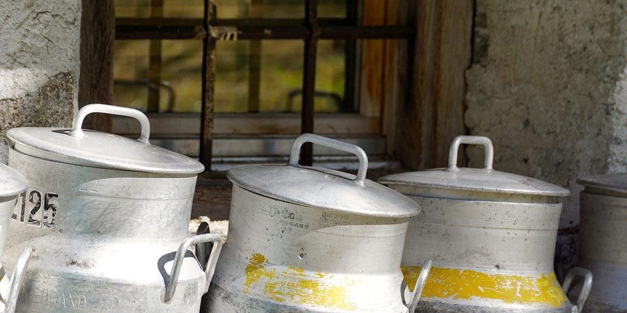 frische Kuhmilch in Kannen abgefüllt