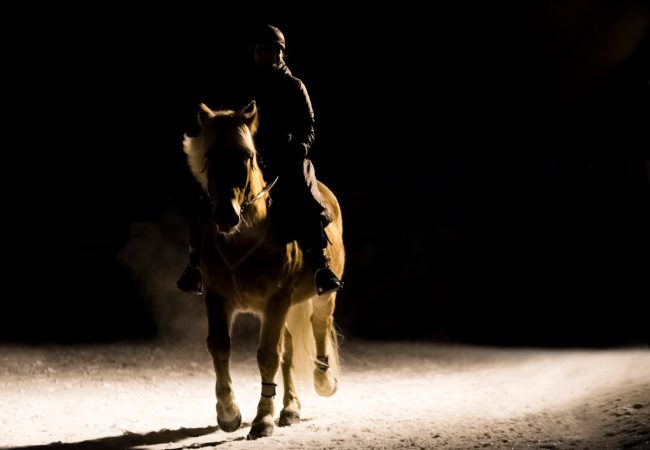 Reiter und sein Pferd im Dunkeln