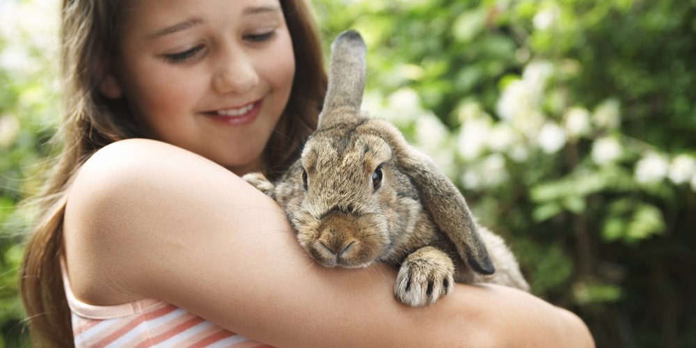 Mädchen mit Kaninchen auf dem Arm