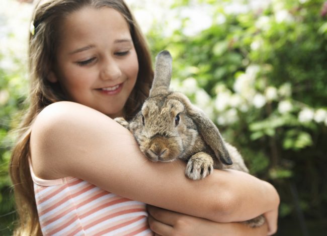 Mädchen mit Kaninchen auf dem Arm