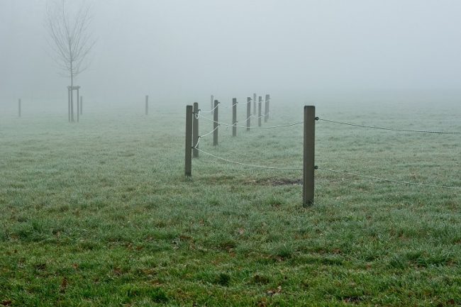 elektrisch betriebener Weidezaun