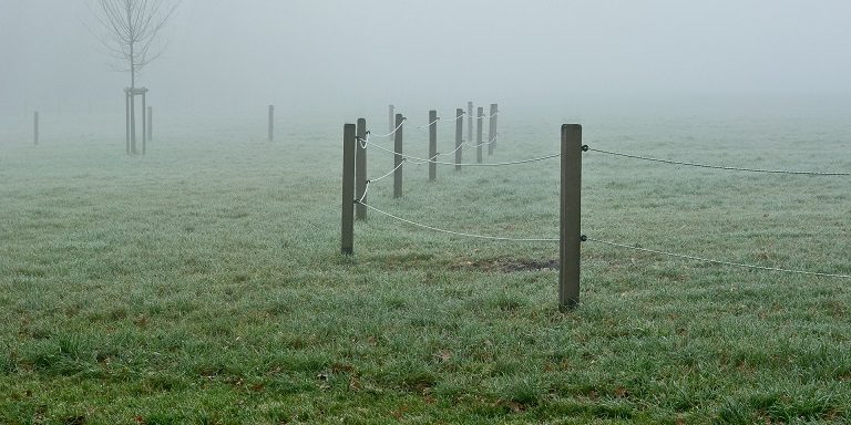 elektrisch betriebener Weidezaun