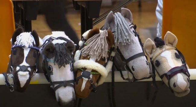 Hobby Horsing