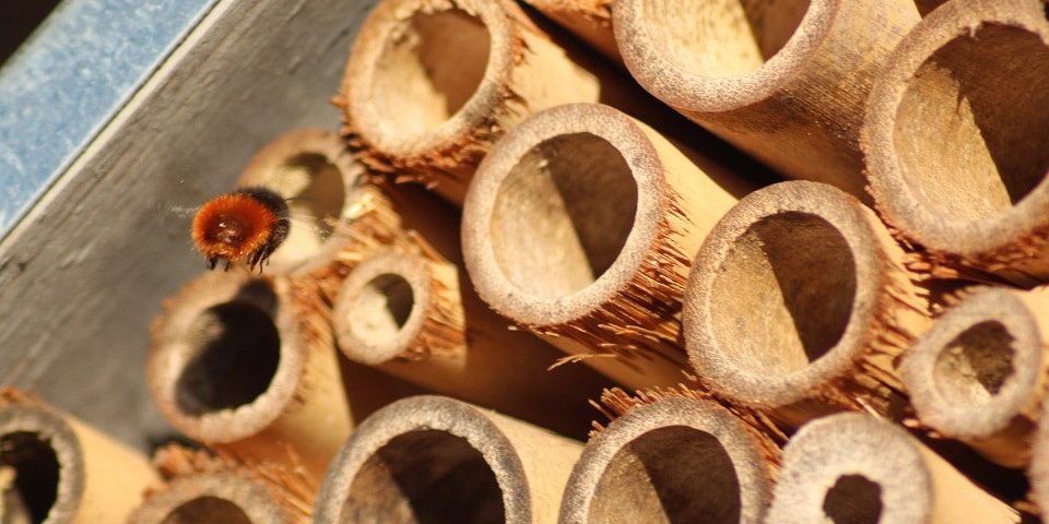 Artgerechtes Insektenhotel