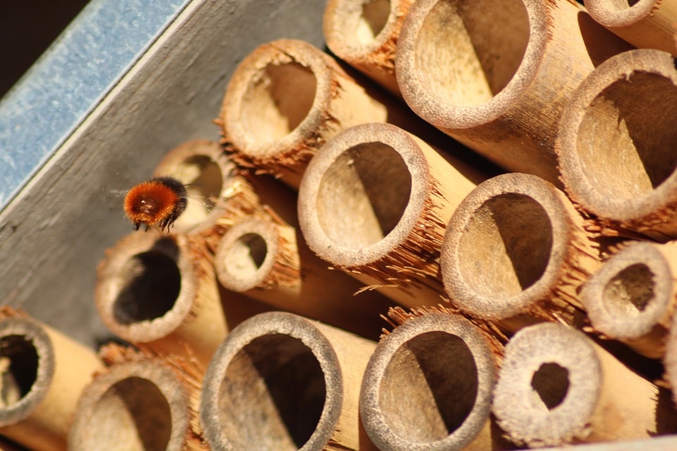 Artgerechtes Insektenhotel