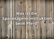 Was ist die Spannsägenkonstruktion beim Pferd? FAQ
