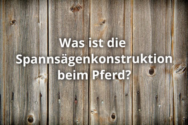 Was ist die Spannsägenkonstruktion beim Pferd? FAQ