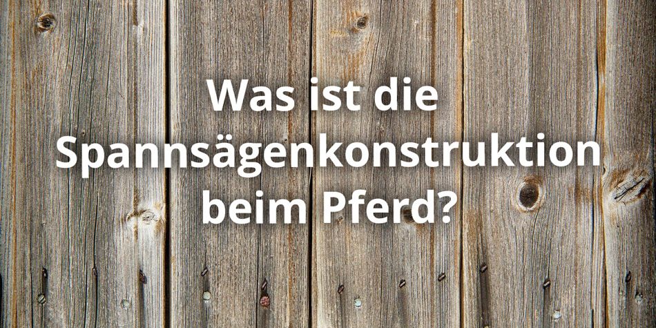 Was ist die Spannsägenkonstruktion beim Pferd? FAQ