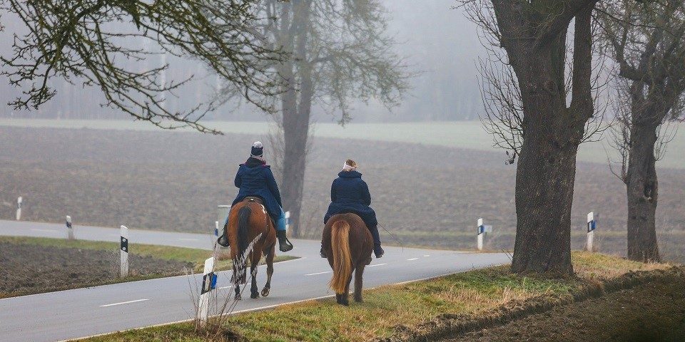 Zwei Reiter auf der Straße mit Ihren Pferden