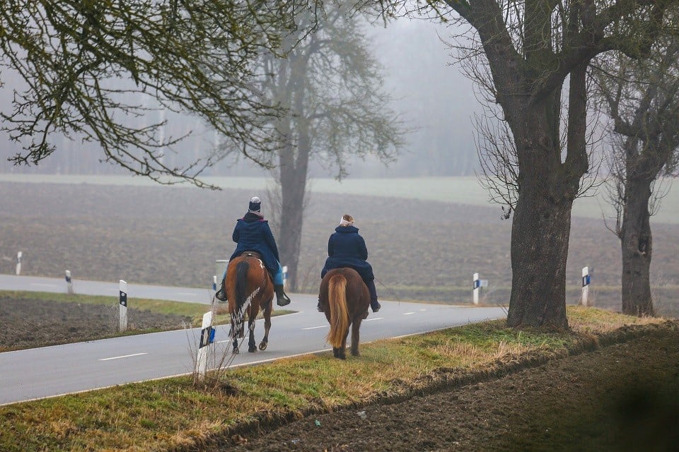 Zwei Reiter auf der Straße mit Ihren Pferden