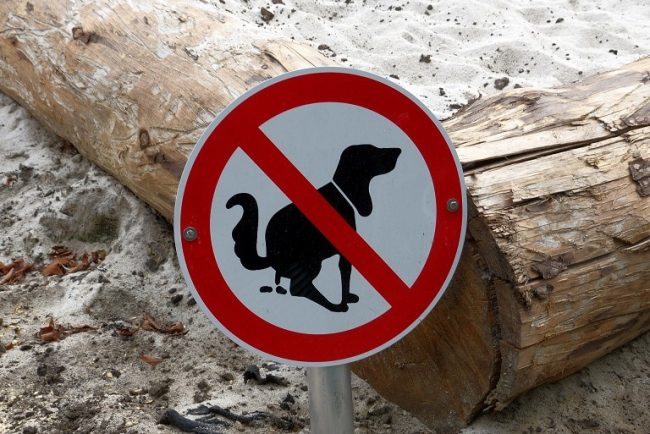 Verbotsschild: Hunde dürfen hier nicht ihr großes Geschäft verrichten
