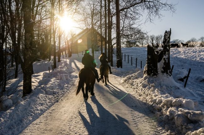 Reiten im Schnee im Winter