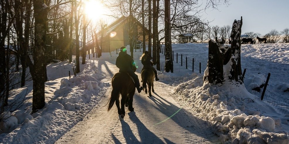 Reiten im Schnee im Winter
