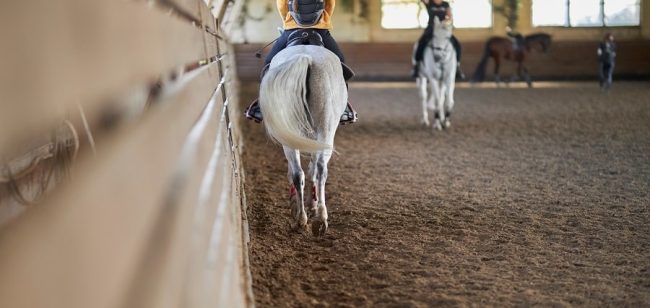 Die 10 wichtigsten Bahnregeln beim Reiten