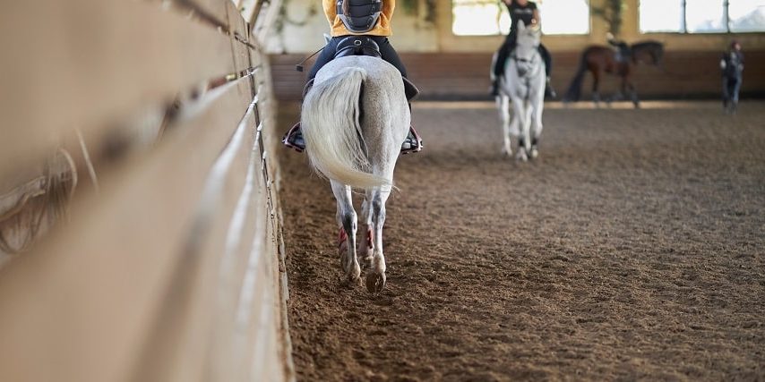 Die 10 wichtigsten Bahnregeln beim Reiten