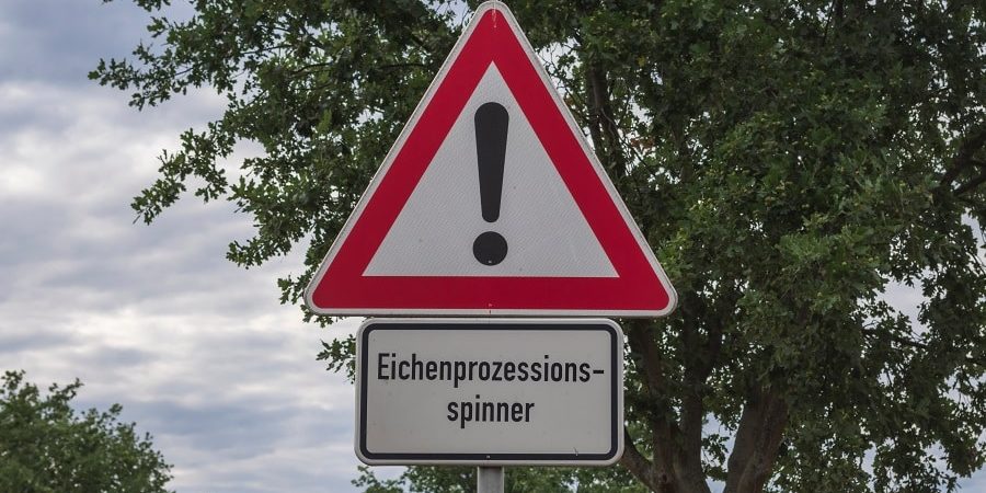 Warnschild vor Eichenprozessionsspinner