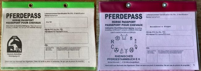 Equidenpass FN & Pferdepass Zuchtbescheinigung
