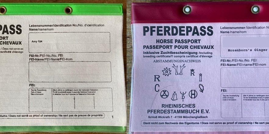 Equidenpass FN & Pferdepass Zuchtbescheinigung