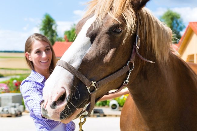 Junge Frau im Stall mit Pferd