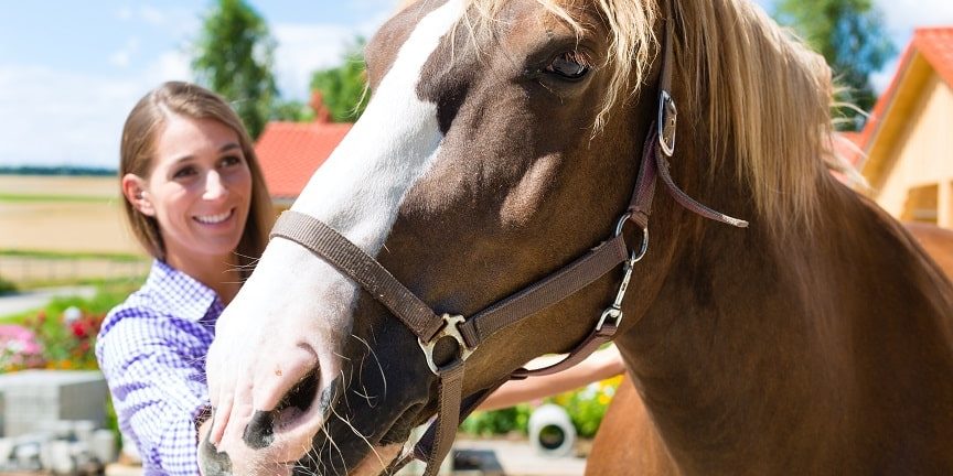 Junge Frau im Stall mit Pferd