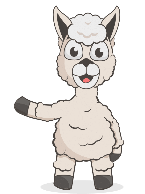 Alpaka Fun Facts