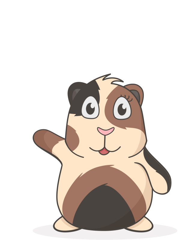 Meerschweinchen Fun Facts